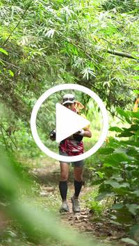 BIB:  <button type="button" onclick="openModal(26822061)" class="btn btn-primary btn-sm float-right" data-toggle="modal" data-target=".modal-high-quality">
                <i class="fa fa-download"></i> Download
                </button>